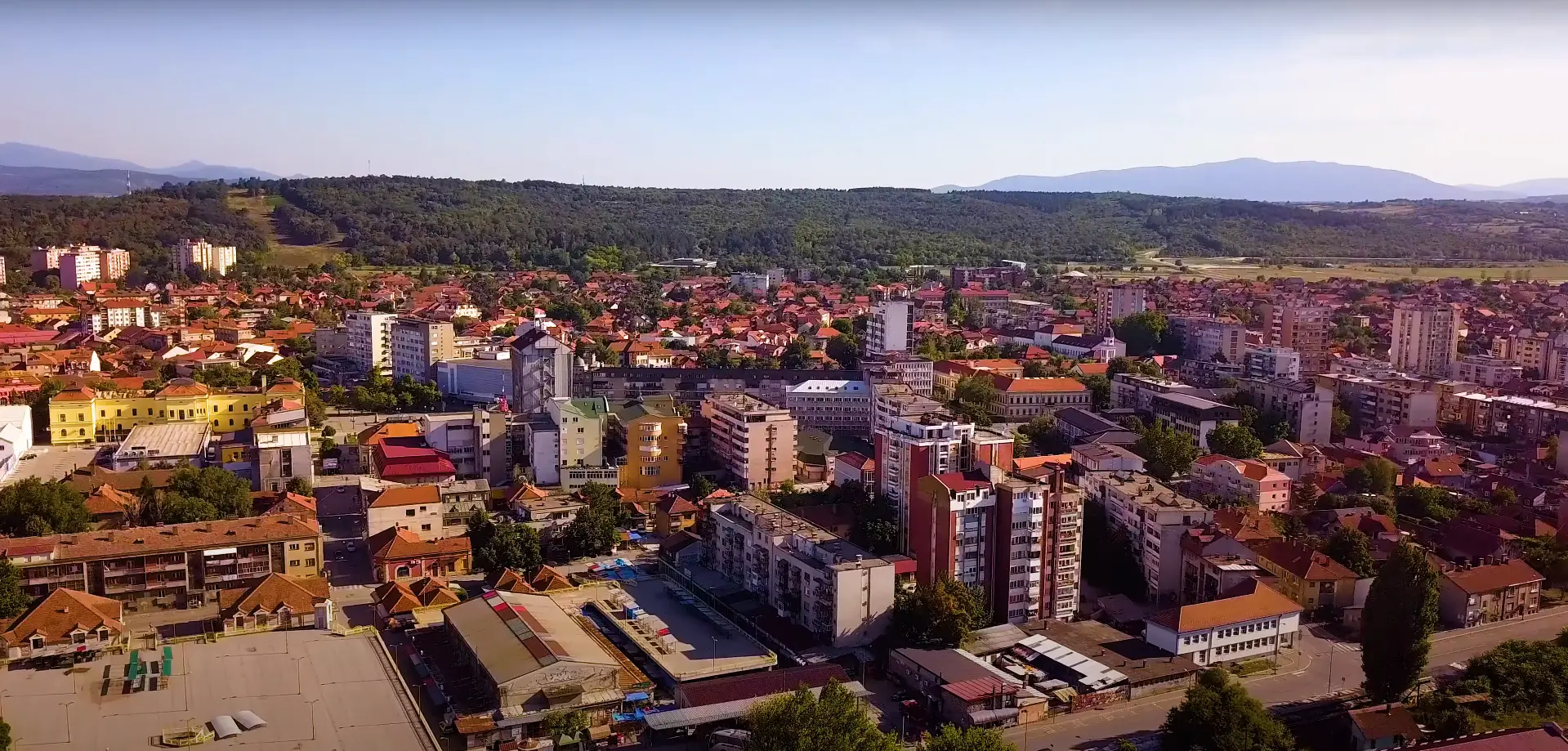 selidbe beograd zajecar